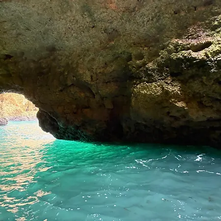 Ocean Studio- Pet Frendly