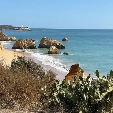 Ocean Studio- Pet Frendly