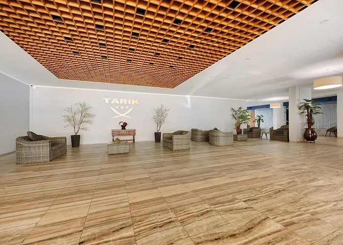 Ocean Studio- Pet Frendly Apartment