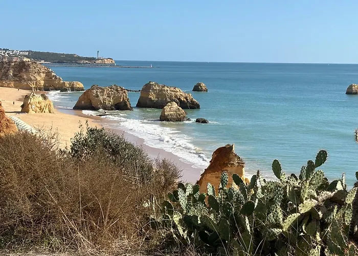 Ocean Studio- Pet Frendly