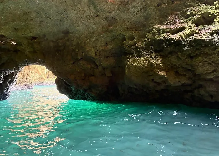 Ocean Studio- Pet Frendly